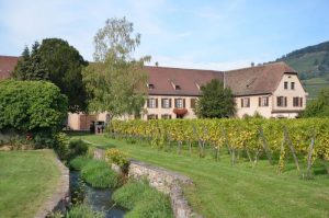 Domaine Weinbach 1